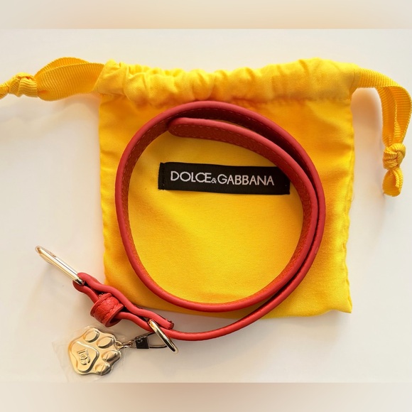 Brand New- Dolce & Gabbana "Fefe" Dog Collar 🐩 - Picture 4 of 7